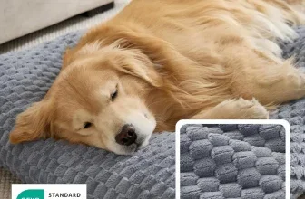 Goldener Retriever schläft auf grauem Hundekissen mit OEKO-TEX-Siegel und Stoffdetail