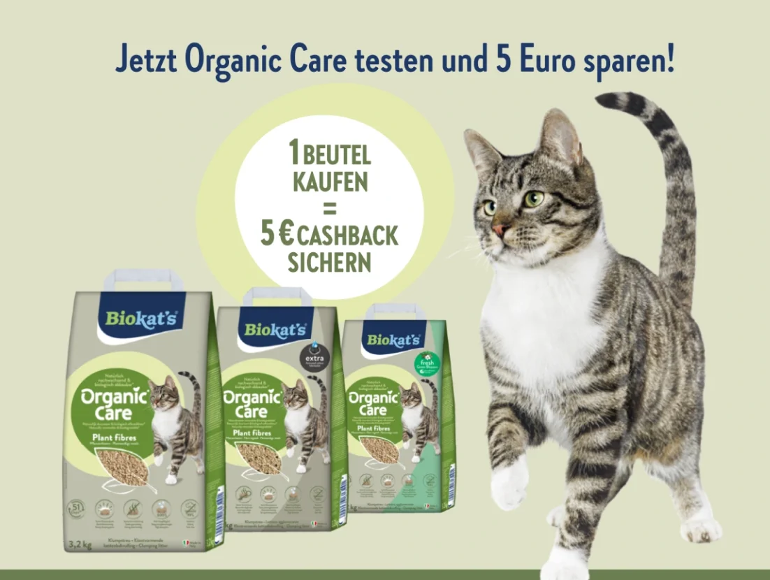 Biokat’s Organic Care Cashback: 5 € für Katzenstreu zurück