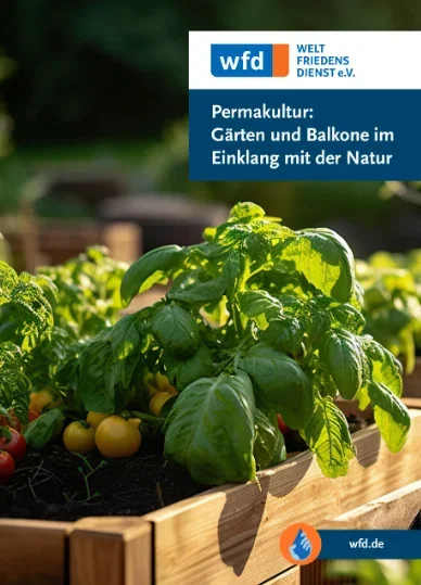Kostenloses Permakulturheft mit Bio-Saatgut für Tomate & Basilikum bestellen