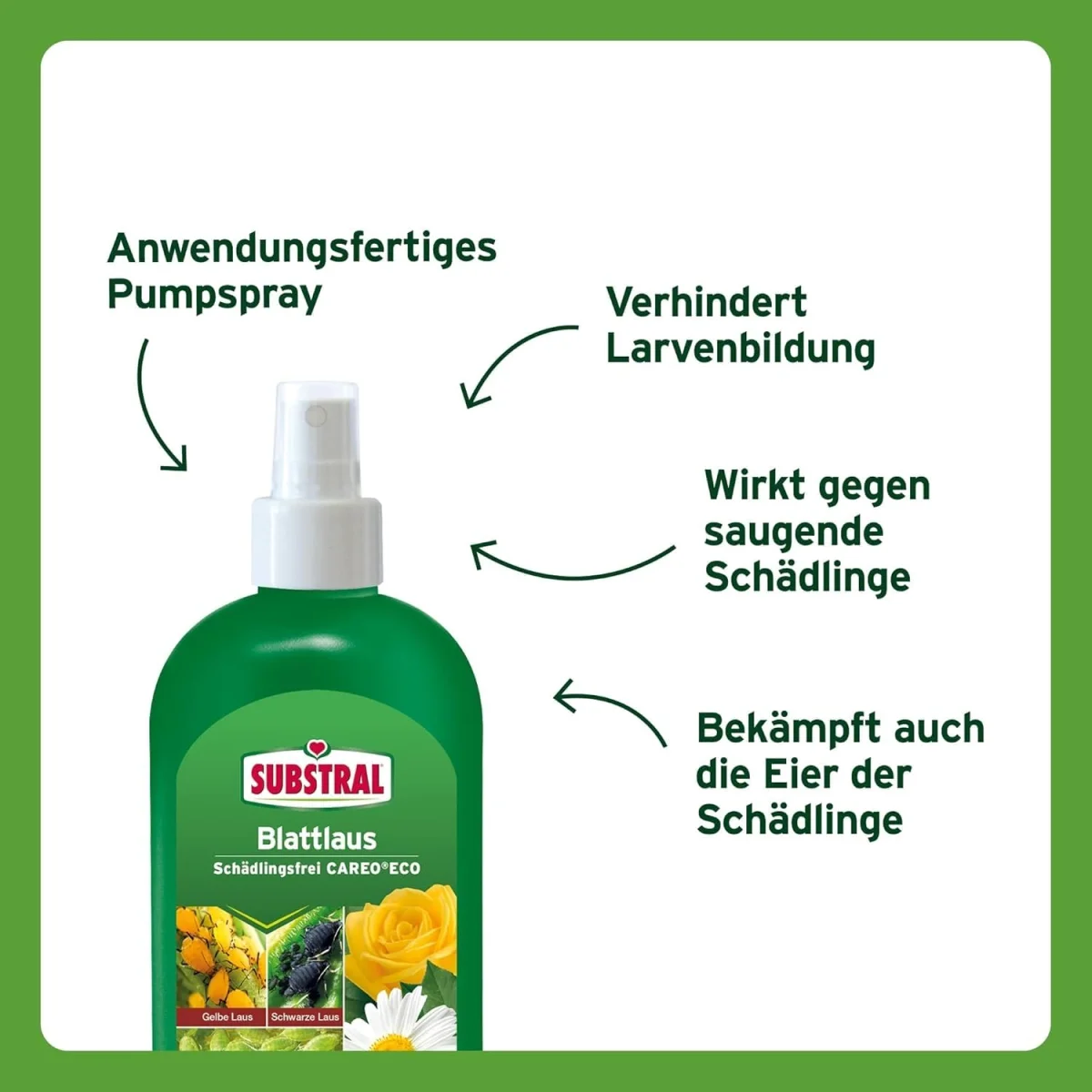 Substral Blattlaus Schädlingsfrei CAREO gegen saugende Schädlinge (300ml)