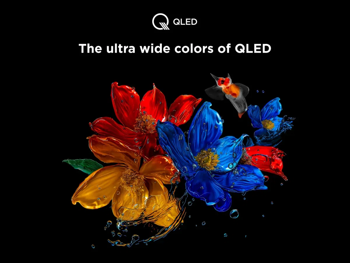 TCL 75T8C 75 Zoll QLED 4K HDR UHD (Smart Google TV Dolby)