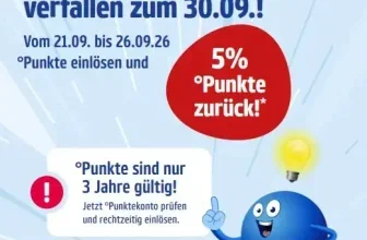 Netto PAYBACK Aktion mit 5 Prozent Punkte-Rückerstattung