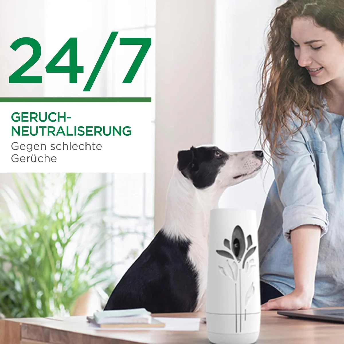 Air Wick Freshmatic Max Raumspray DUO Cotton und Weißer Flieder (2x250ml)