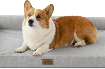 Corgi auf grauem Hundebett mit erhöhter Rückenlehne und braunem Logo-Patch
