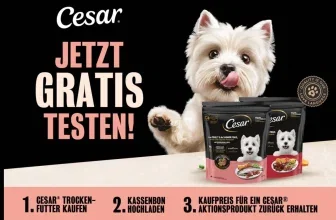 Cesar Cashback Aktion: Weißer Hund, Trockenfutter, Text 'Jetzt Gratis Testen' und 3 Schritte
