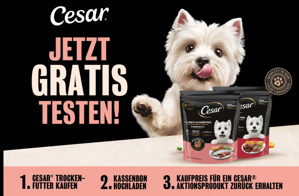 CESAR Cashback 2026 – Trockenfutter mit bis zu 6,79 € Erstattung