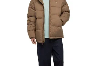 Model trägt braune Dickies Waldenburg Daunenjacke mit aufgestelltem Kragen und Logo-Patch