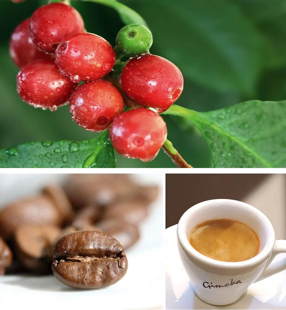 Gimoka Kaffeekapseln Espresso Intenso Kaffeemischung Intensität 12/13-64 (4er Pack)