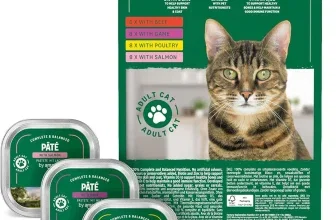 Grünes Kartonpaket mit Katzenbild und vier geöffneten Aluschalen mit Pastete