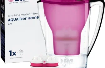 BWT AQUAlizer Home Wasserfilter in Aubergine mit 2,7 Liter Fassungsvermögen