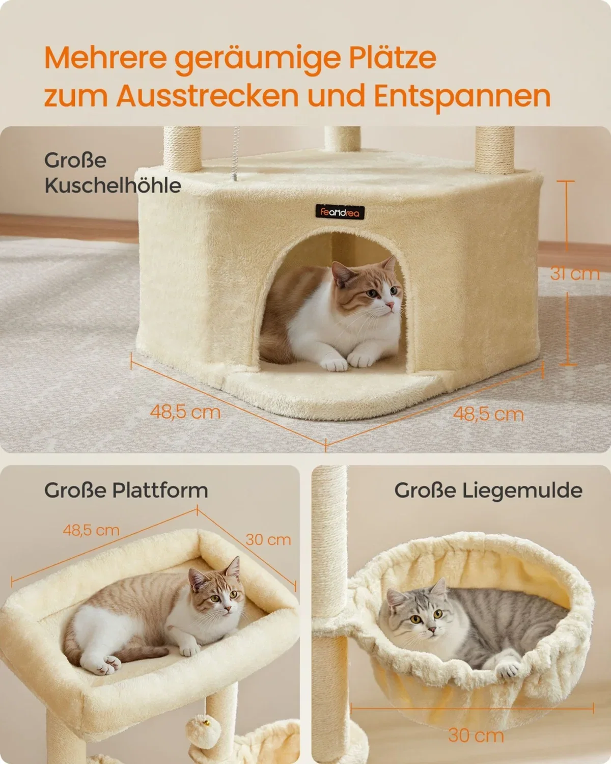 Feandrea Katzenbaum