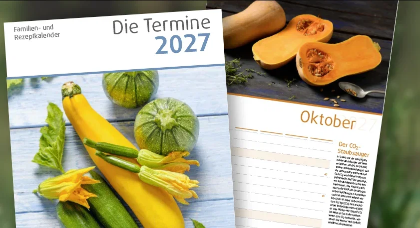Familienkalender 2027 kostenlos: Harz Energie verschickt Gratisplaner mit zwölf Rezepten