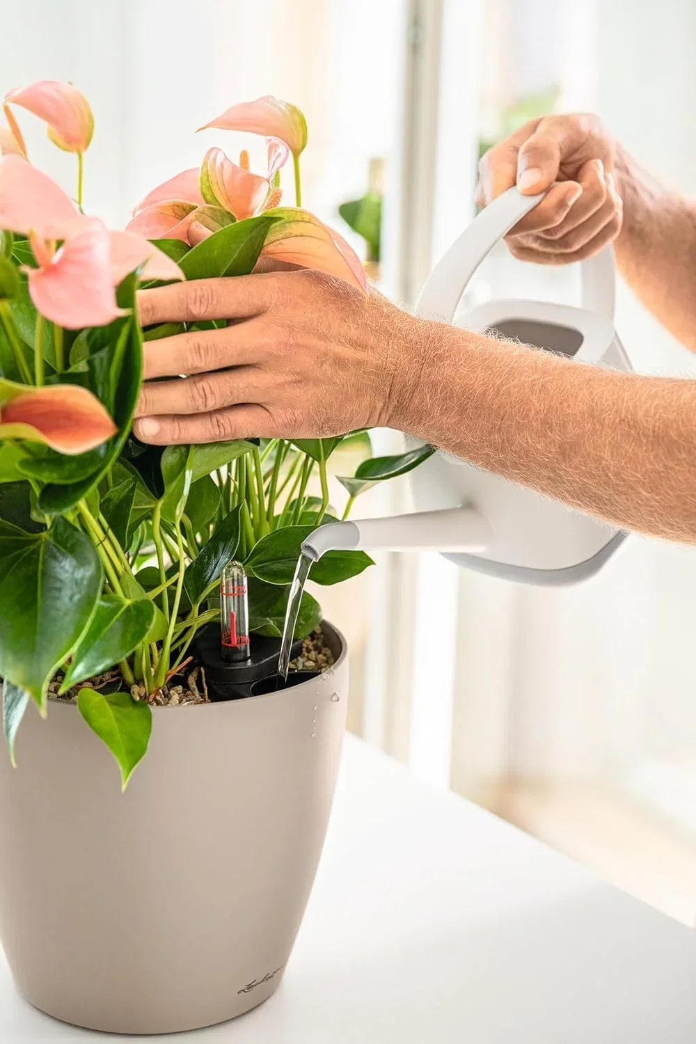 Lechuza Gefäß mit Bewässerungssystem 28
