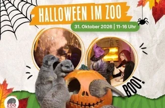 Halloween im Zoo Osnabrück 2026 mit kostenlosem Eintritt für verkleidete Kinder