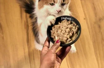 Vitakraft Poésie Classique Mega Pack mit 96 Beuteln Katzen-Nassfutter