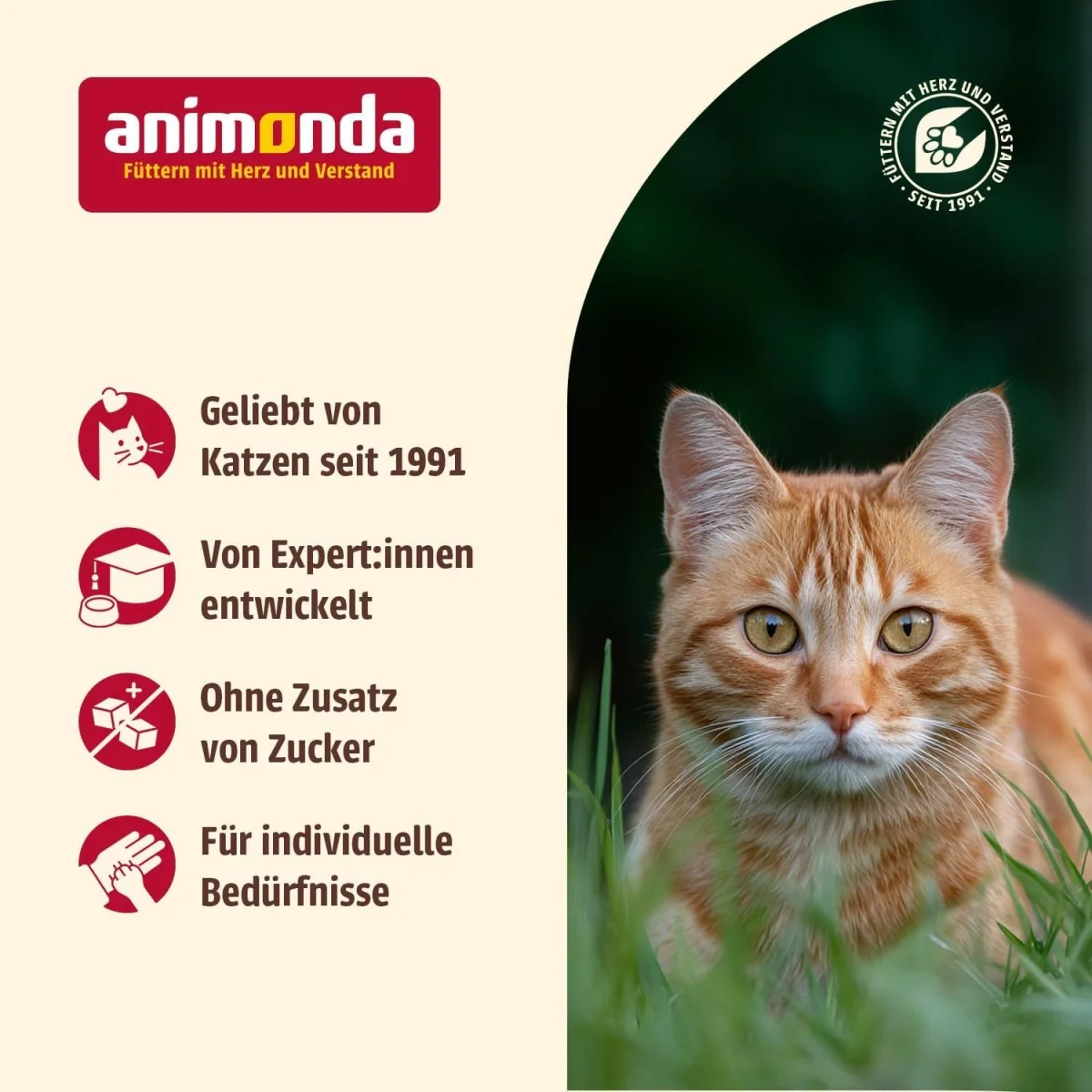 Carny Cat Drink Thunfisch von animonda als Ergänzungsfutter für Katzen