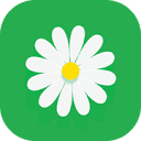 MyFlowers