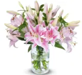 20 Pinke Lilien 🌸Mit Bis Zu 80 Blüten Für 25,48 € Inkl. Versand