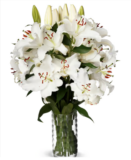 20 weiße Lilien XXL 🌺 für 25,48 € inkl. Versand