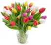 30 bunte Tulpen für 28,98 € inkl. Versand