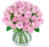 Blume Ideal: Blumen zum Muttertag 💐 mit 15% Gutschein z.B.: 33 Pinke Rosen für die Beste für 32,98  € inkl. Lieferung