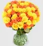 40 Rosen Hello Sunshine ab 28,19 € inkl. Versand