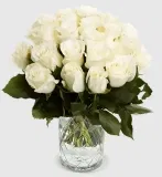 40 weiße Rosen (40 cm) für 28,18 € inkl. Versand🌹