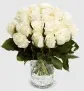 Blumenstrauß mit 40 weißen Rosen ab 28,19 € inkl. Versand🌹