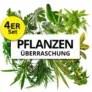 Pflanze Plus: 4er-Set Pflanzenüberraschung (40-70cm) für 26,98 € inkl. Versand (statt 38,98 €)