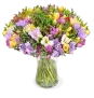 50 Bunte Freesien Blumenstrauß mit bis zu 400 Blüten ab 29,99 € inkl. Versand