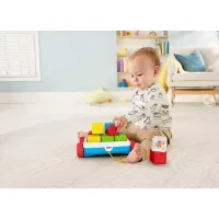 Fisher-Price Bausteinwagen (GJW10)