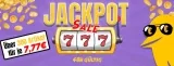 Picksport Jackpot Sale: Über 200 Artikel Für Je 7,77 € Zzgl. Versand + 5,5 % Extra-Rabatt Mit Dem Newsletter