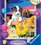 Ravensburger Malen nach Zahlen 28765 – Welpen im Sonnenuntergang