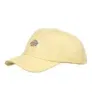 Dickies Cap Hardwick yellow – für 20,27 € inkl. Versand statt 28,99 €