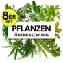 8er-Set Pflanzenüberraschung 🌱 | +/- 40-70cm | ø 12-15cm Topf für 29,98€ (3,74 € pro Pflanze)