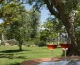 8 Tage Apulien im 4* Masseria Zanzara mit Flug und Frühstück ab 269 € – Ruhe, Pool und Strände nahe Porto Cesareo