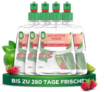 Air Wick Active Fresh – Raumduft Juicy Berry & Lime ab 20,16 € inkl. Prime Versand (statt 27,80 €)