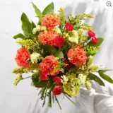 Bloom & Wild: 15,00 € Rabatt + kostenloser Versand für Neukunden z.B. Handgebundener Blumenstrauß Amira für 14,00 € inkl. Versand (statt 24,00 €)