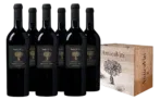 6er Pack Antica Viti Edizione Numero Uno Vino Rosso Weinkiste für 59,99 € inkl. Versand (statt 119,99 €)