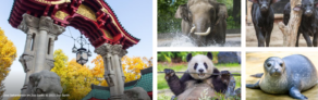 🎟️ Berlin: 2 Zoo-Tickets & Hotel mit Frühstück für 2 Personen ab 88,00 €  🏨🐾