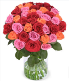 Blumenstrauß Autumn Vibes XXL mit 50 Rosen für 31,98 € inkl. Versand (0,64 €/Rose)🌹🌹🌹