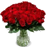 Blumenstrauß ClassicRed mit 44 Rote Rosen ab 29,99 € inkl. Versand