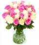 Blumenstrauß CottonCandy mit 35 weiß-pinke Rosen für 26,98 € inkl. Versand 🌹 🌹 🌹