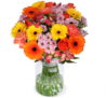 Blume Ideal: Blumenstrauß Herbstzauber ab 29,98 € inkl. Versand