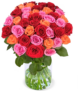 Blumenstrauß Rosenbeet mit 50 Rosen in den Farben Rot, Pink und Orange für 29,98 € inklusive Versand ( 0,60 € pro Rose) 🌹🌹🌹