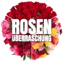 Blumenstrauß Rosenüberraschung mit 50 Rosen ab 25,49 € inkl. Versand 🌹🌹🌹