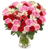 Blumenstrauß Rosenwunder XXL mit 30 Stielen und bis zu 60 Blüten für 27,48 € inkl. Versand 🌹🌹🌹