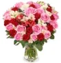 Blumenstrauß Rosenwunder XXL mit 30 Stielen und bis zu 60 Blüten für 25,48 € inkl. Versand 🌹🌹🌹