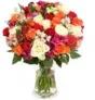 30 Stiele Sunset mit 100 Blüten für 24,98 € inkl. Versand