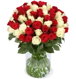Blumenstrauß Sweet Harmony mit 50 rot-weißen Rosen ab 34,48 € inklusive Versand